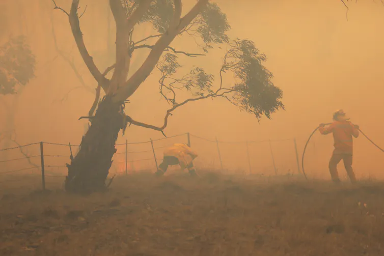 firefighters work in smoky field