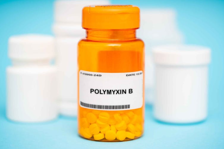 A bottle of polymixin antibiotics.