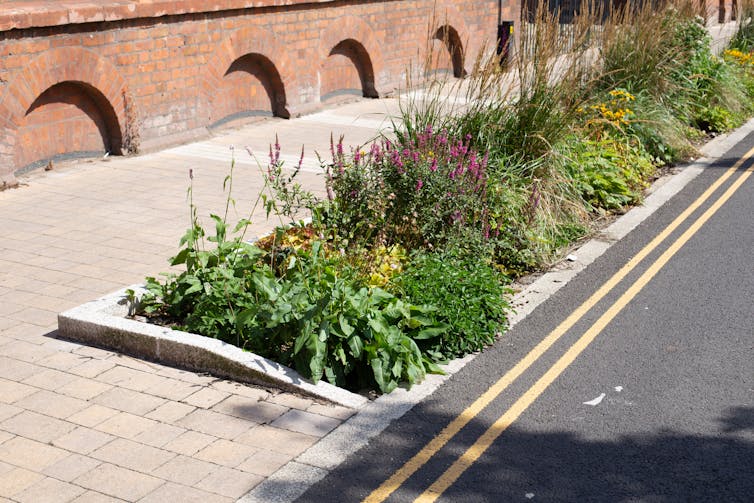 Small kerbside sustainable drainage area