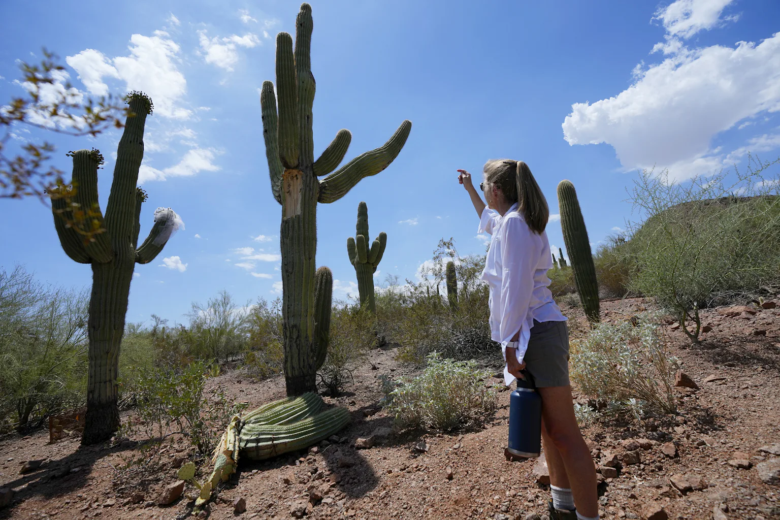 How language can turn down the temperature of heated climate change ...