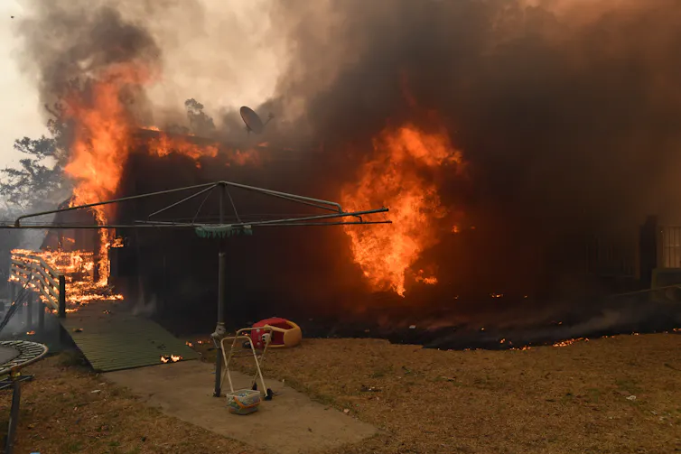 Hills Hoist alongside burning bushes