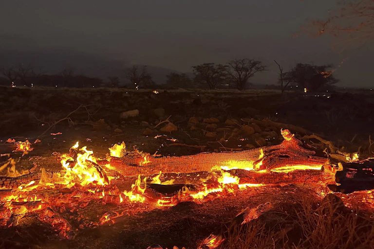 A fire burns intensely, destroying everything it touches.