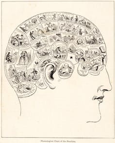 An outline of a skull filled with drawings of the traits different areas denoted.