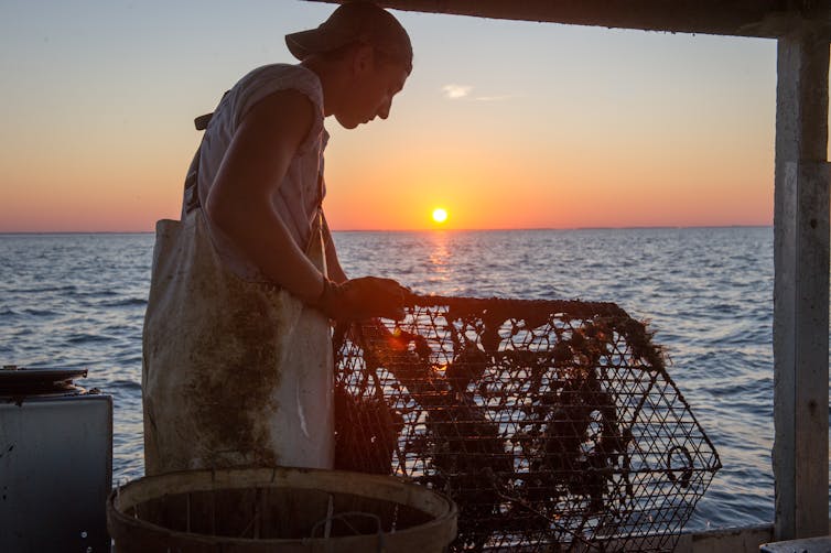 As the sun sets in the background, a young man on a boat pulls in a net from the water.