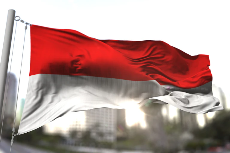 Indonesia Negara Maju 2045.