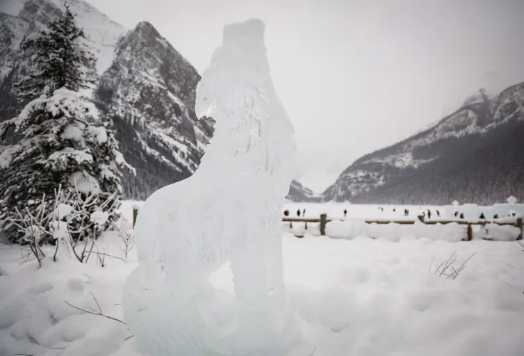 An ice sculpture of a wolf pictured in front of Lake Louise, Alta.