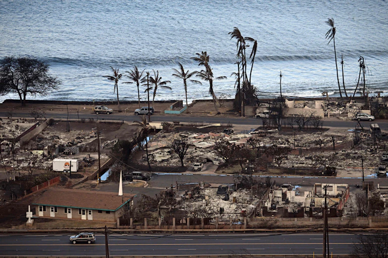 Edificios carbonizados y palmeras junto al océano