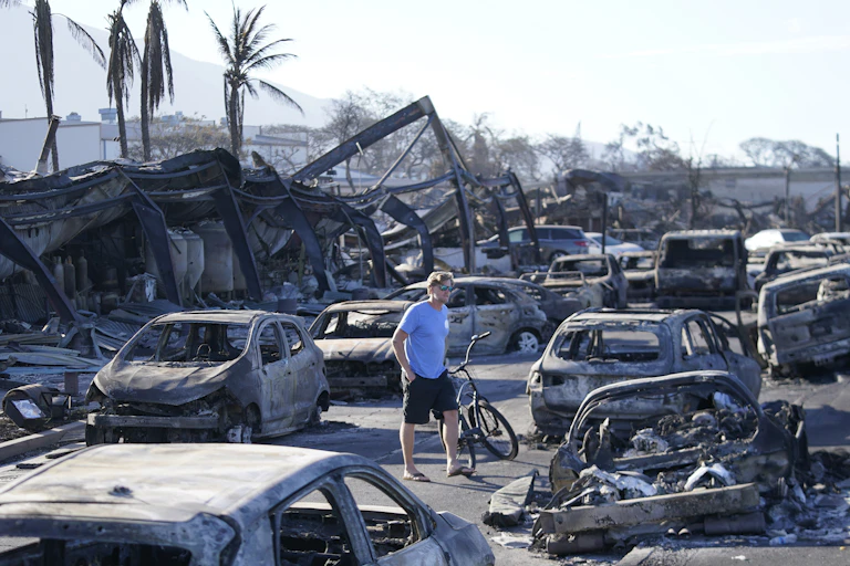 A man wearing flipflops, shorts and a T-shirt walks through wildfire wreckage, with burned cars along a street and collapsed metal that was once buildings. The palm trees are still standing with their fronds.