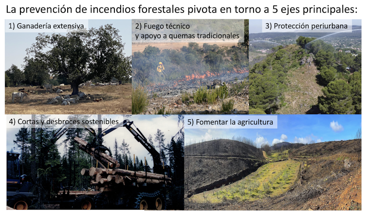 La prevención de incendios se basa en romper la continuidad del combustible a escala de paisaje. Para ello, se necesitan diferentes medidas de desarrollo rural (fotos 1, 4 y 5), la protección de espacios periurbanos (foto 3) y la introducción de fuegos técnicos de baja intensidad (foto 2). Fotos 1, 2 y 4 de Víctor Resco, 3 de Ferran Dalmau y 5 de Paco Castañares