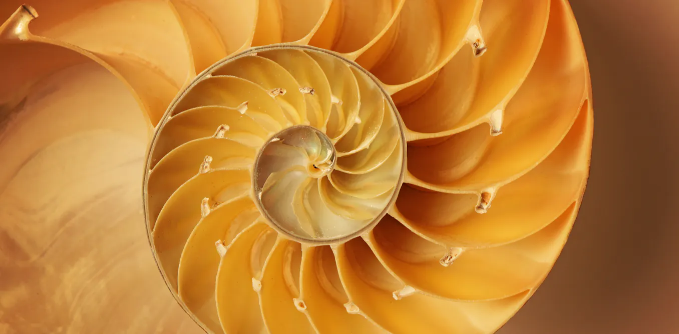 Arithmetic has a biological origin – it’s an expression in symbols of ...