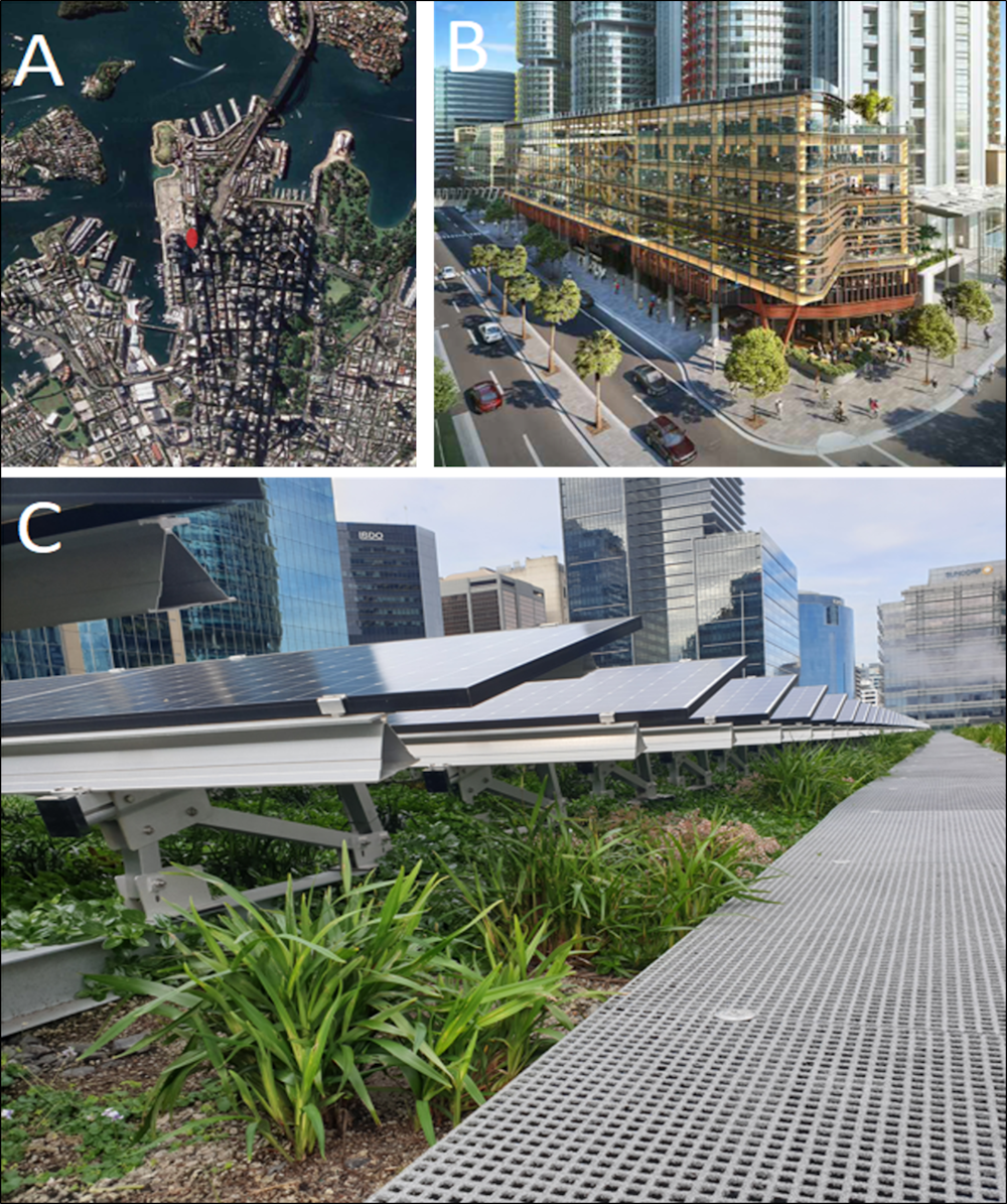 A green roof or rooftop solar? You can combine them in a biosolar roof ...