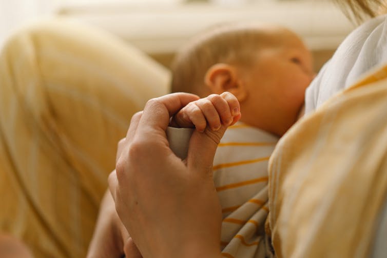 An infant feeds.