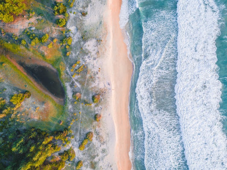 aerial view of beach coast