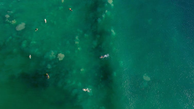 Surfers float around in the ocean