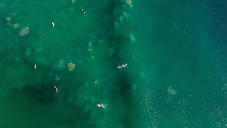 Surfers float around in the ocean