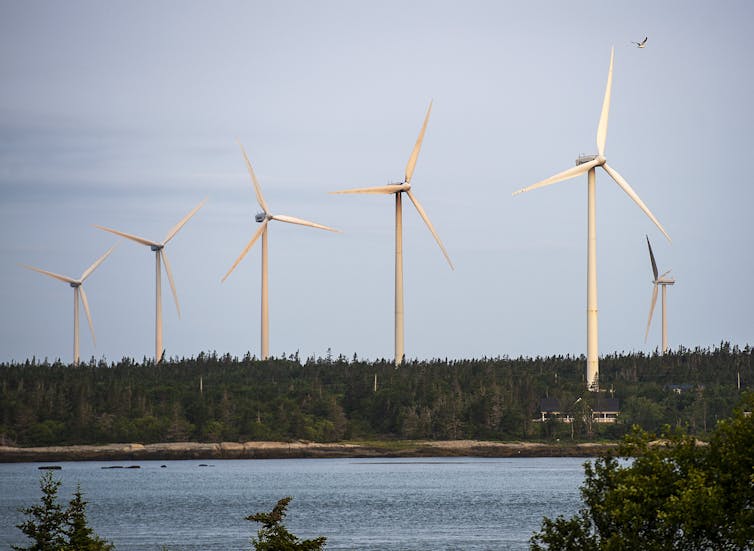 A row of windmills seen from across a river