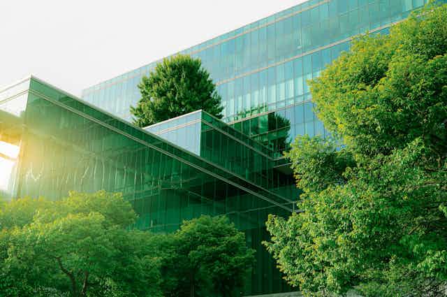 An office building surrounded by trees