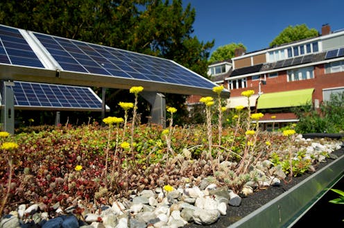 A green roof or rooftop solar? You can combine them in a biosolar roof, boosting both biodiversity and power output