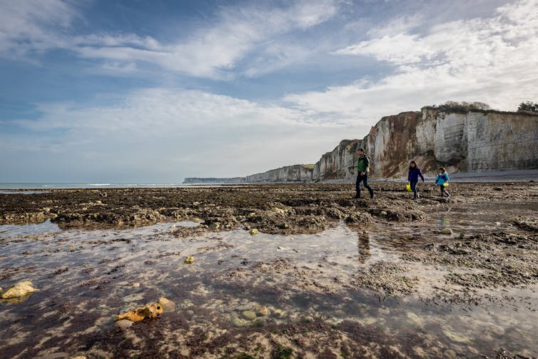 pêche à pied devant une falaise