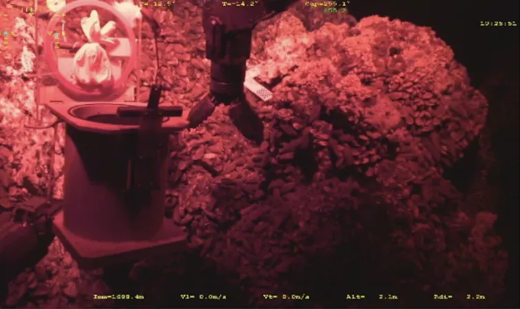 Sampling and preservation of samples using the ROV