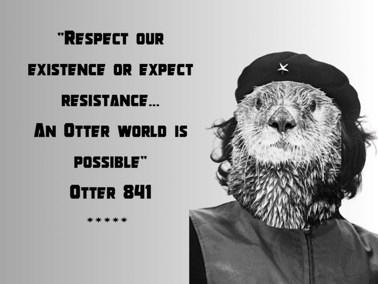 Image of a black and white  otter wearing a black beret next to text that reads, 'Respect our existence or expect resistance ... an otter world is possible – Otter 841'.