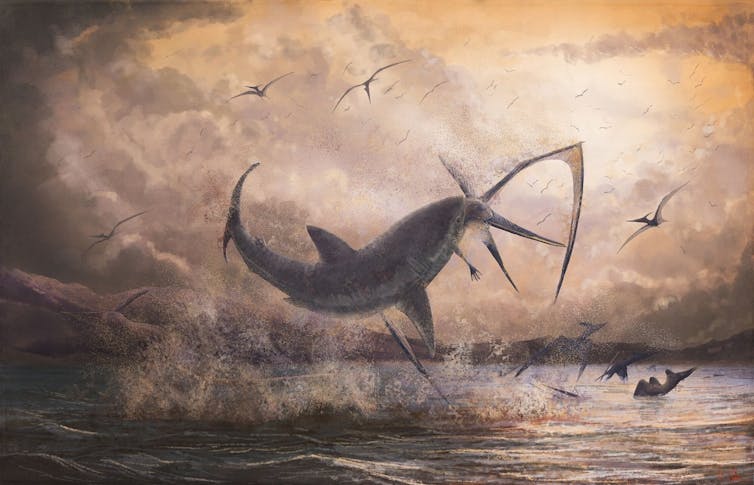 Pteranodon longiceps being preyed on by a Cretoxyrhina shark.