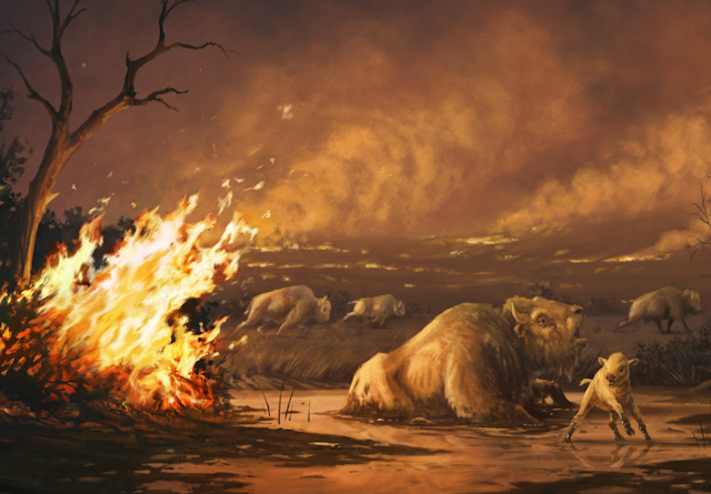 An artist's rendition of a bison entrapped in a tar pit as wildfires burn