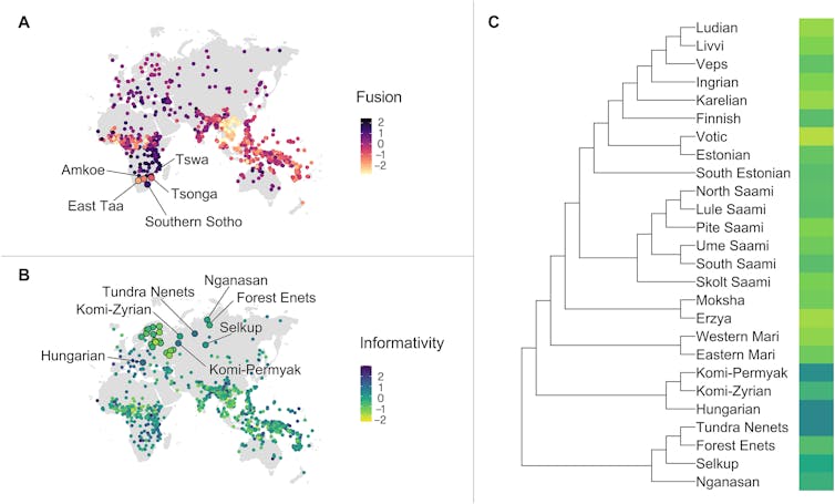 A figure containing two world maps dotted with coloured circles, one showing 'Fusion' and the other showing 'Informativity'. Some language names are marked on the maps. There is also a branching diagram showing relationships among the Uralic languages.