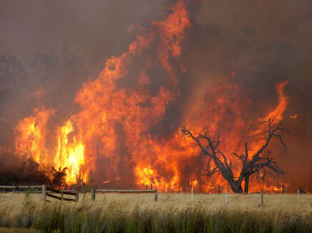 huge fire in field 