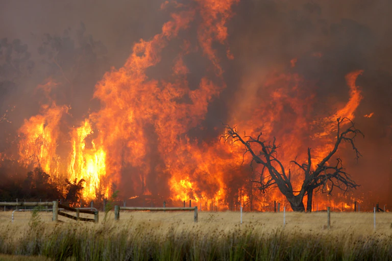 huge fire in field