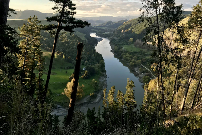 An aerial photograph of the Whanganui River.
