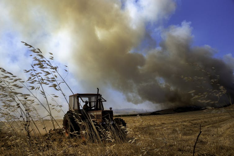 Um trator em um campo de trigo com um incêndio queimando à distância.