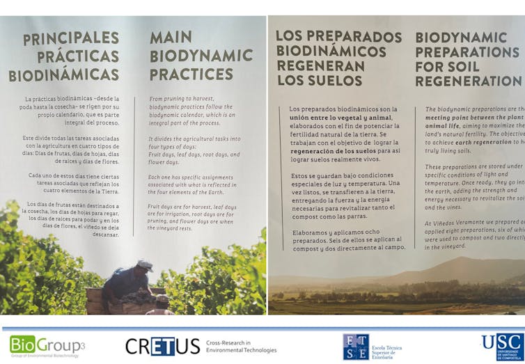 Carteis na adega Veramonte (Casablanca, Chile) cos principios básicos da viticultura biodinámica na que se basea a súa cultura do viño. Author provided