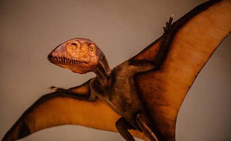 Pterosaur