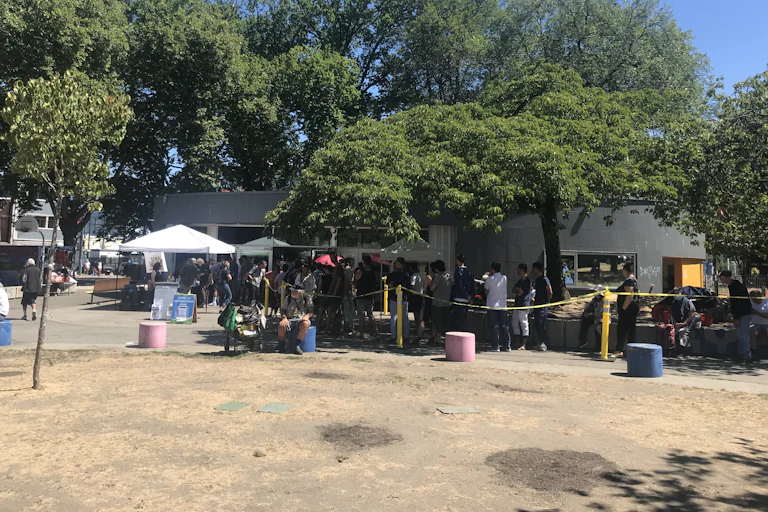 A line of people wait under a row of trees behind a patch of dead grass.