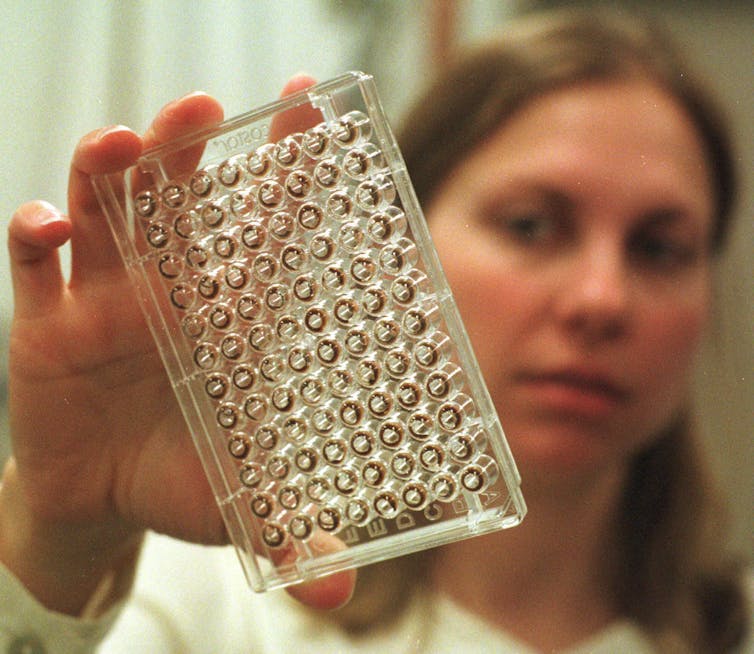 A tray containing human DNA samples ready for genetic sequencing.
