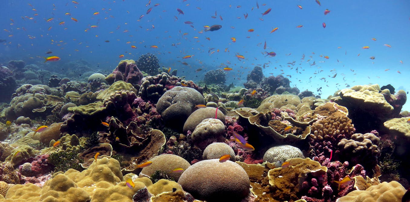 Comment le changement climatique menace la diversité cachée des écosystèmes aquatiques