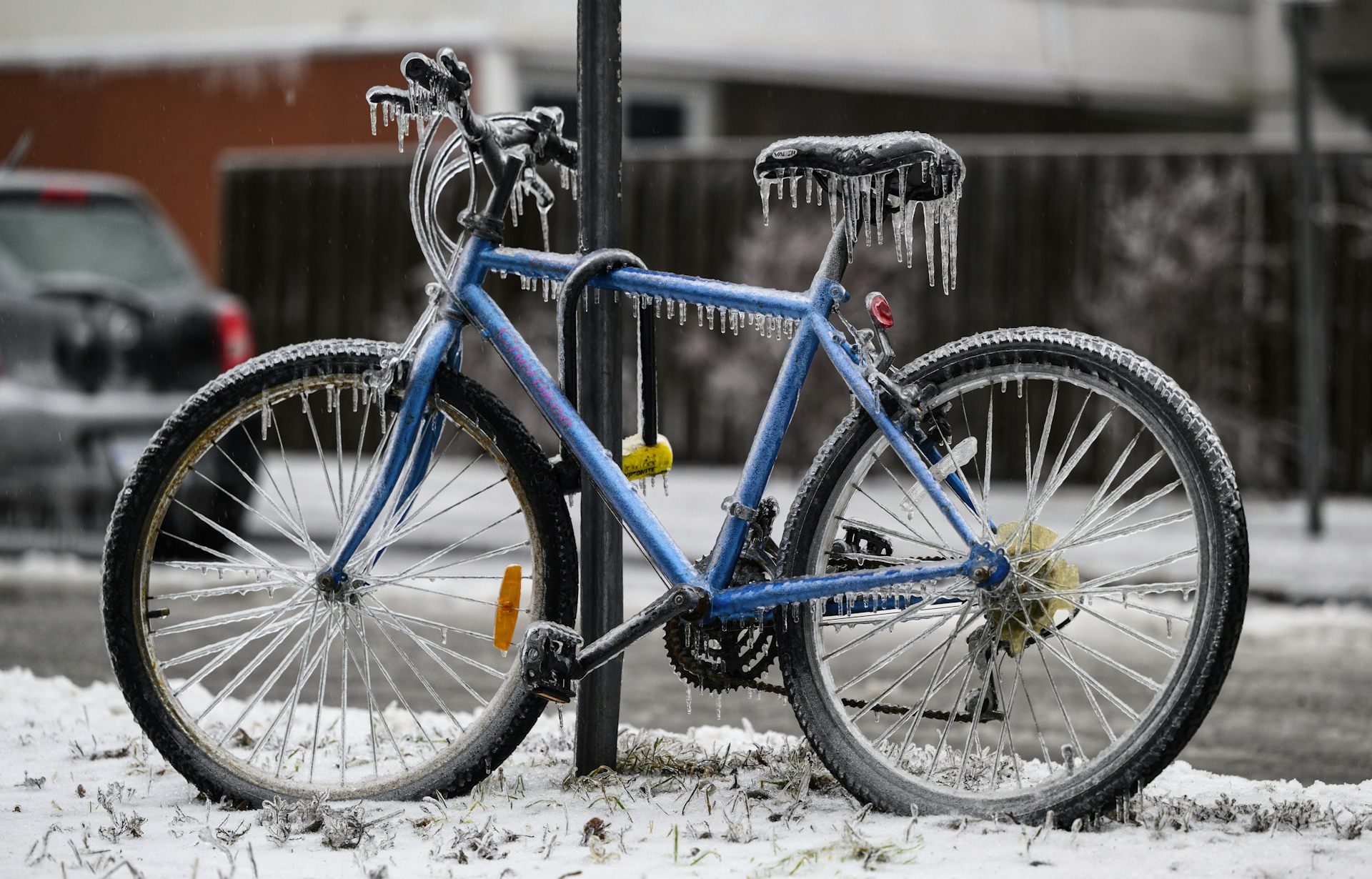 A bicycle locked against a sign post.