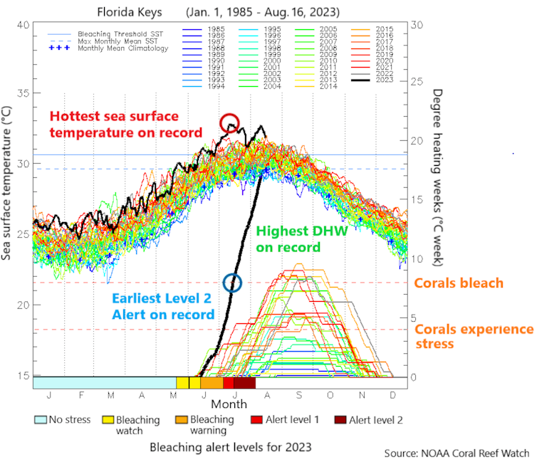 Two charts show ocean temperatures far above normal.