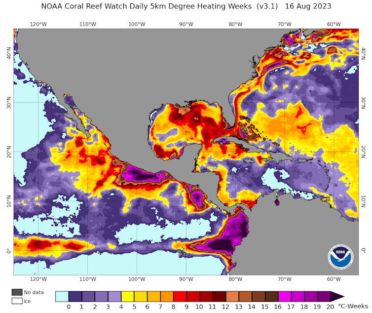 A map shows high heat off Florida and the Bahamas, as well as in the tropical Pacific along the equator, where warm water indicates El Nino conditions.