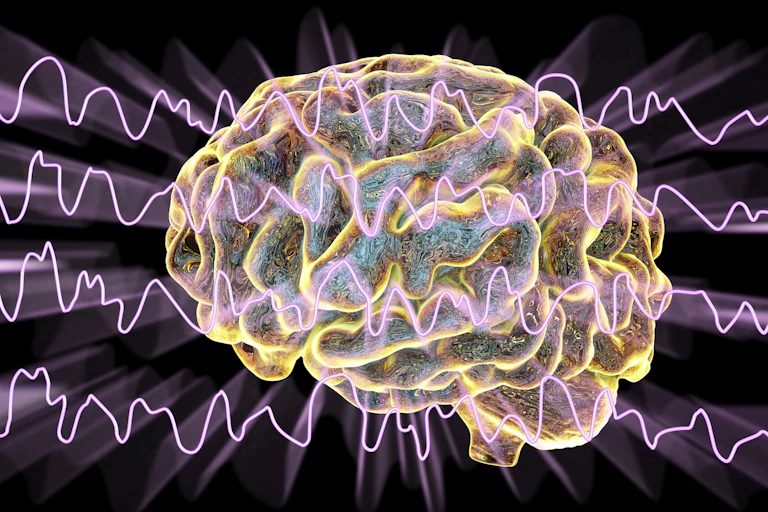 illustration of brains with waves overit