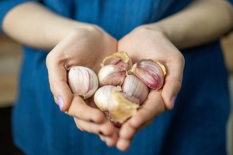 Woman's hands holding garlic cloves