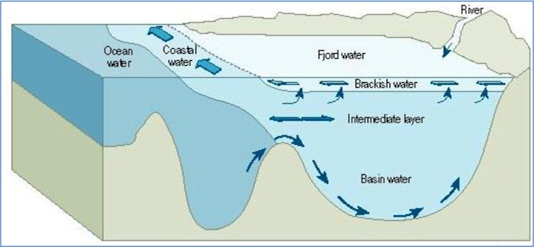 diagram of fjord