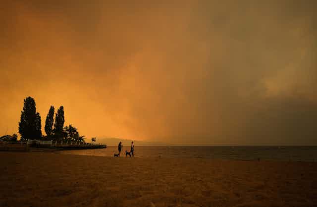 smoke-filled hazy photo of people on a beach with trees in the background