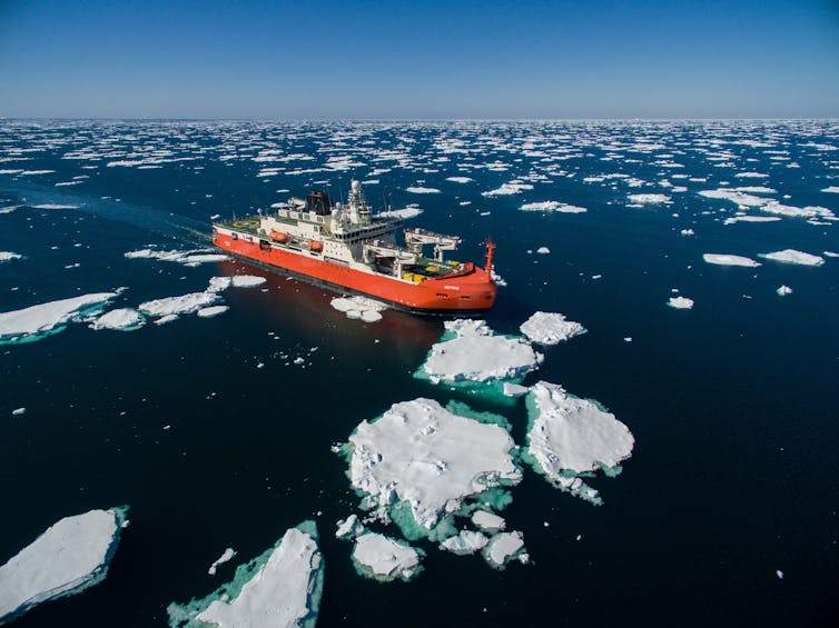 Australia's Antarctic Icebreaker RSV Nuyina on its way to Antarctica, showing chunks of ice on the dark blue sea.
