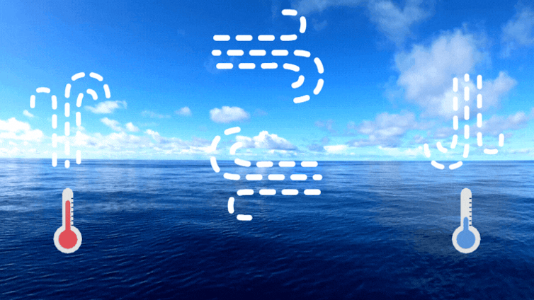 Animated GIF illustrating the Pacific Walker Circulation