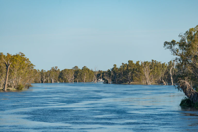 murray in flood