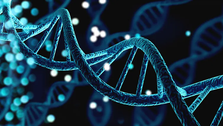 Representation of the DNA molecule.