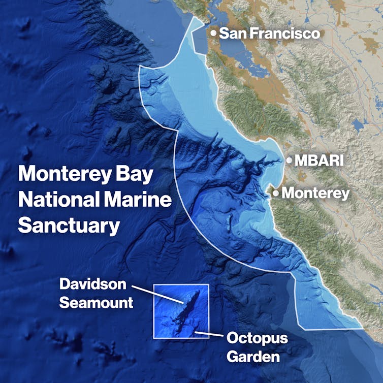 Map showing Monterey Bay National Marine Sanctuary and the location of the Octopus Garden near Davidson Seamount, an inactive volcano off the Central California coast, at a depth of approximately 2 miles (3,200 meters).