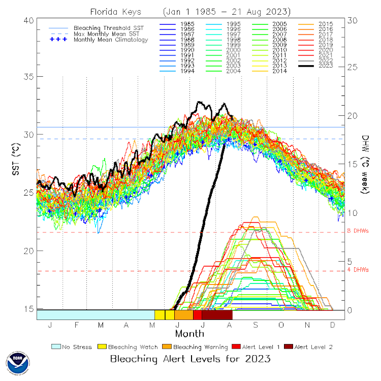 Two charts show ocean temperatures far above normal.
